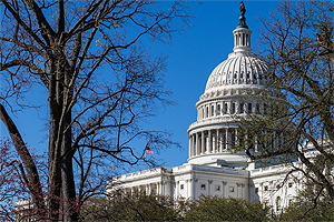 US Capitol